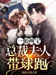一胎兩寶:總裁夫人帶球跑