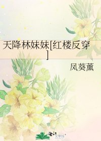 天降林妹妹[紅樓反穿]